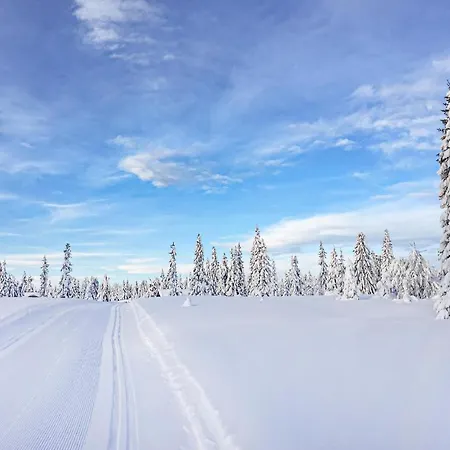 Stunning In Sjusjen With 3 Bedrooms And Sauna Сasa de vacaciones Sjusjoen