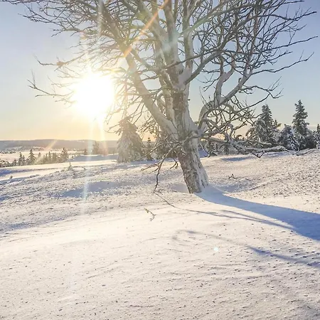 بيت للعطل Stunning In Sjusjen With 3 Bedrooms And Sauna